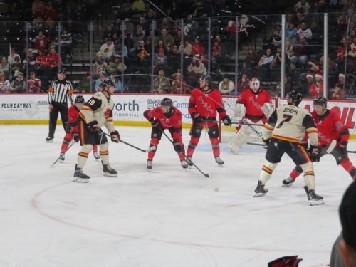 IndyFuelTeddies_0006