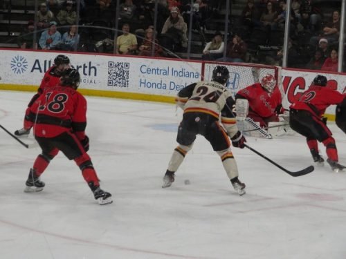 IndyFuelTeddies_0030