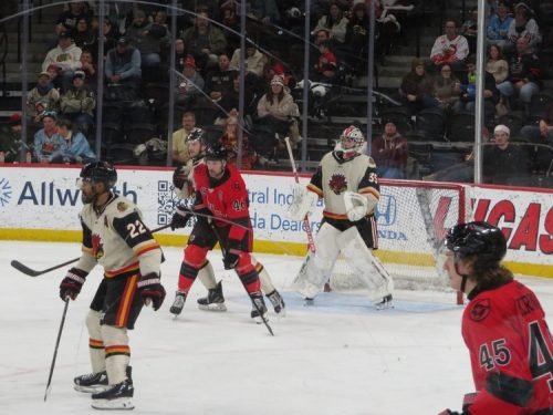 IndyFuelTeddies_0150