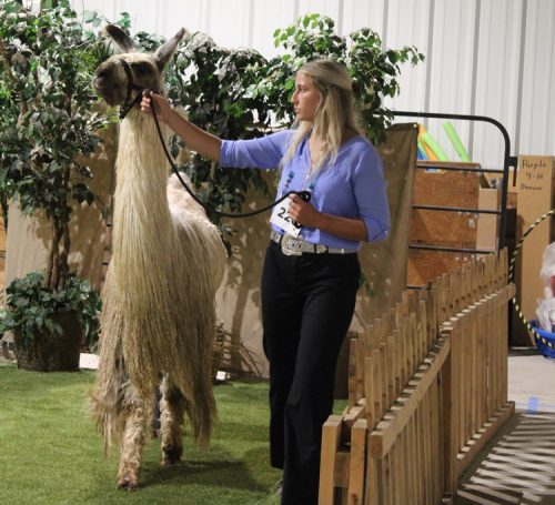 Lauren-Pickett-and-Jackpot