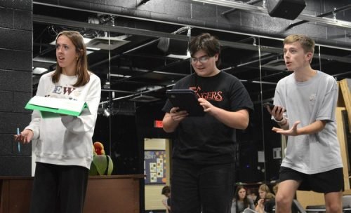 NHS Little Shop_0288
