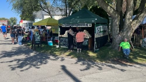 New Earth 2025_E4393