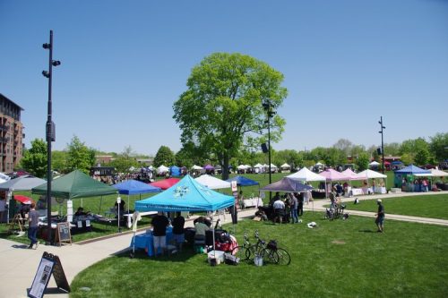 Nville Farmers Market 2025-05-10_2365