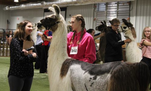 Olivia-Puetz-and-Smoke-2-(getting-judged)