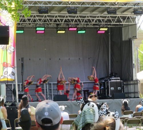 Panda Fest_1103