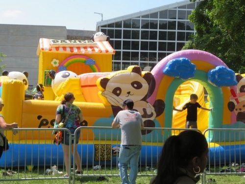 Panda Fest_1125