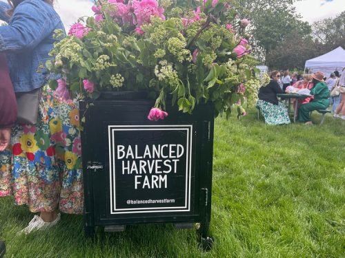 Peony Fest 2025_BalancedHarvestFarm-4