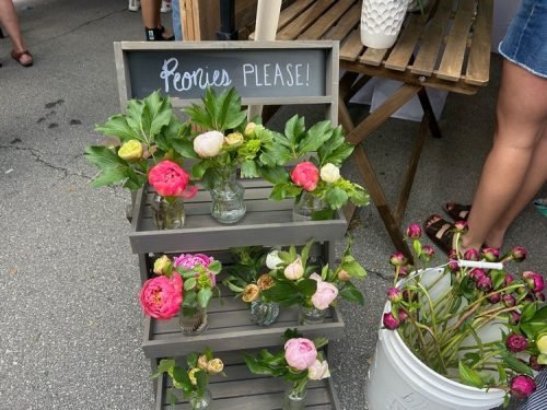 Peony Fest 2025_Mini peony bouquets