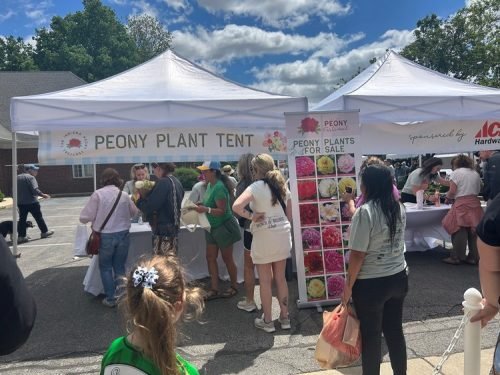 Peony Fest 2025_Peony Plant tent