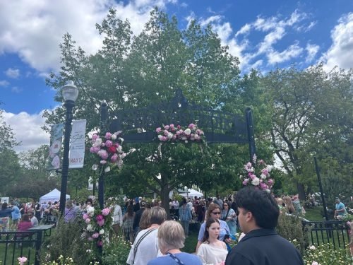 Peony Fest 2025_Peony crowd shot-1