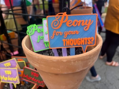 Peony Fest 2025_Peony for your thoughts pick