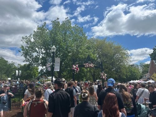 Peony Fest 2025_PeonyCrowdShot