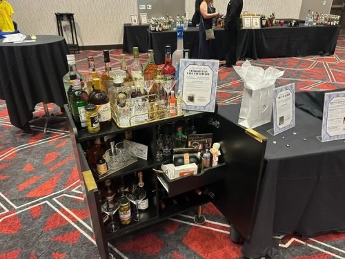 Prevail Gala 2025_live auction item