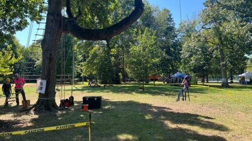 Pricklethorn_Neftali (3)