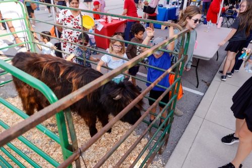 RockTheBlock2025_N5I1860