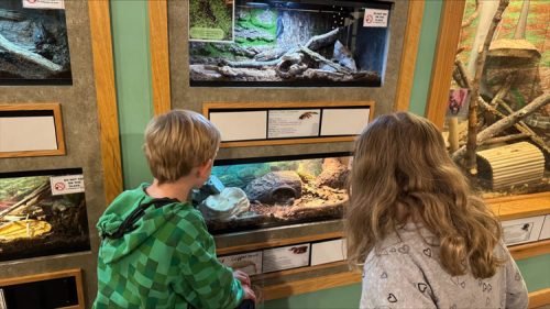 Sheridan-at-McCormick's-Creek-(4)