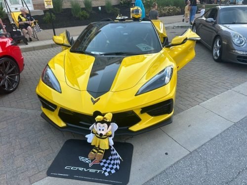 Spark Fishers Car  Art 2025_bumblebee car