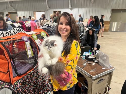 Susan Charles, Bling Blingy (5)