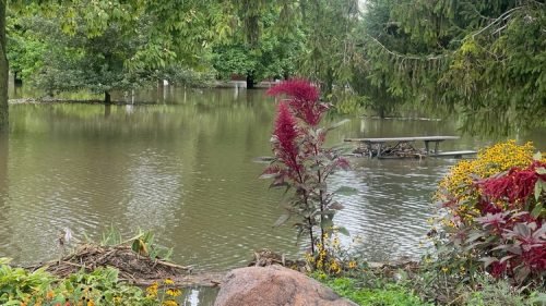 Tipton City Park (3)