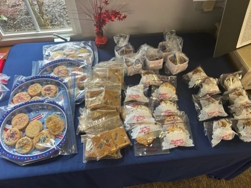 VAU Wall at Cyntheanne June 2025 (01)