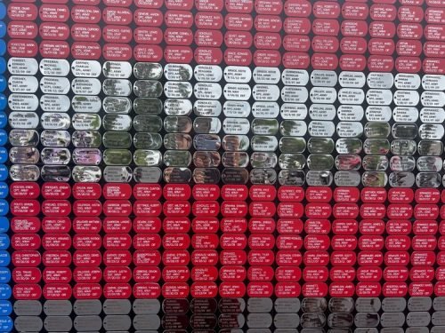 VAU Wall at Cyntheanne June 2025 (07)