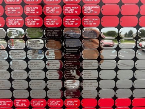 VAU Wall at Cyntheanne June 2025 (17)