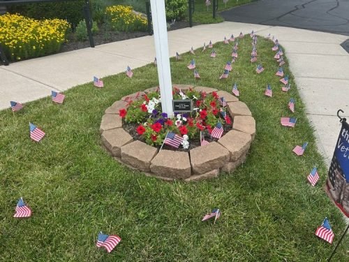 VAU Wall at Cyntheanne June 2025 (21)