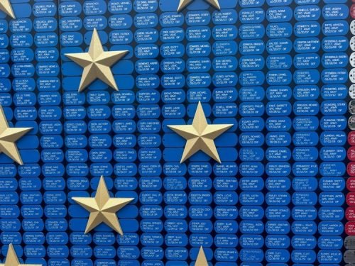 VAU Wall at Cyntheanne June 2025 (23)