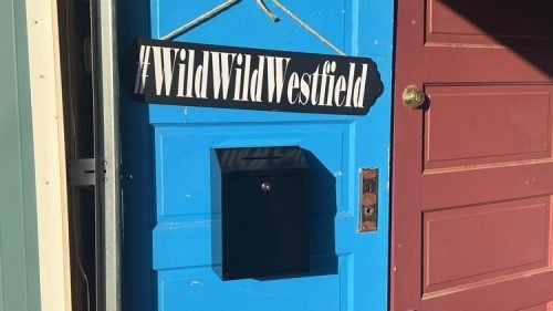 WWW 2025_Branding (1)