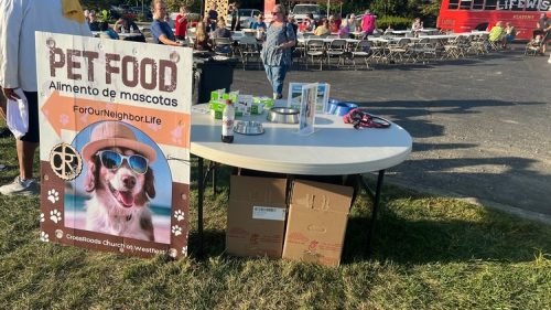 WWW 2025_Branding (18)