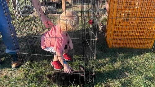 WWW 2025_Ezekial (2)