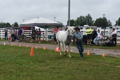 horse showmanship 2