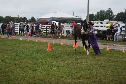 horse showmanship 4
