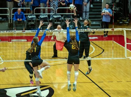 hse volleyball state (4)
