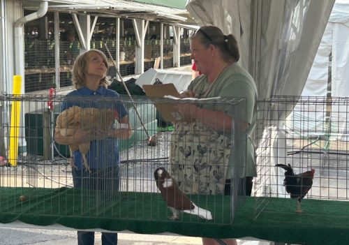 junior-poultry-showmanship-2