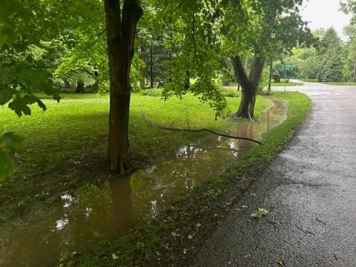 storm-June-2025-Grace 3