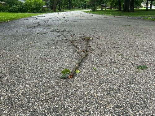 storm-June-2025-Grace 4