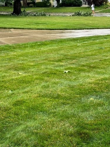 storm-June-2025-provided 3