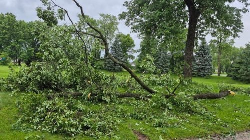 storm-June-2025-provided 4