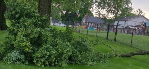 storm-June-2025-provided 6